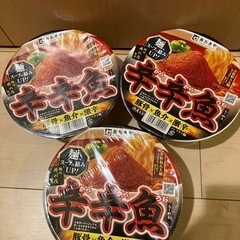辛辛魚　カップラーメン　寿がきや　井の庄　3個