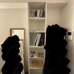 本棚差し上げます
