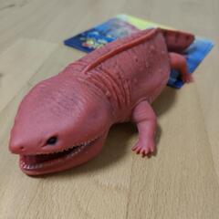 アンドコの画像