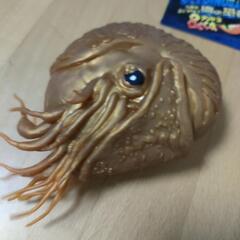 アンドコの画像