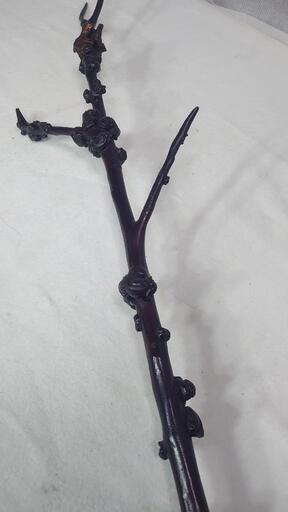 骨董品か逸品か？『古物商御用達』（全長１７０センチ）蓋取り 梅枝？（その②）