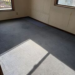 絨毯の洗い