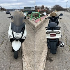 実動 マジェスティ125 5CA LPRSE 原付 スクーター 富山 通勤/通学/ちょっとしたお買い物に!!の画像