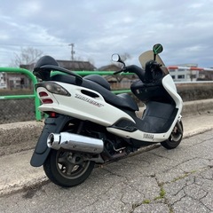 実動 マジェスティ125 5CA LPRSE 原付 スクーター 富山 通勤/通学/ちょっとしたお買い物に!!の画像