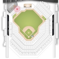 エスコン　4月4日開幕戦　大人2枚　メインレベルの画像