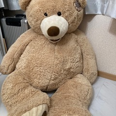 【COSTCO】コストコ ハグミービッグベア SITTING B...
