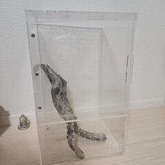 アクリルケージ 爬虫類ケージの画像