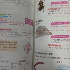 くらべてわかる　できる子図鑑　理科　小学の画像