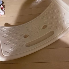 子ども　バランス感覚