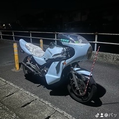 バリオス2の画像