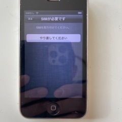 iPhone 3GS