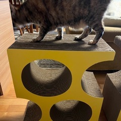 猫の大きな　爪とぎ　2個セットの画像