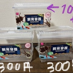 新品 プラ 水槽(ダイソー) ペット 魚 虫
の画像
