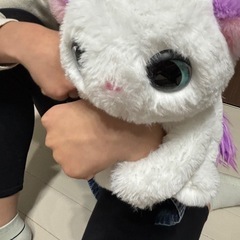 ぎゅっとしてキュン　ぬいぐるみ　の画像