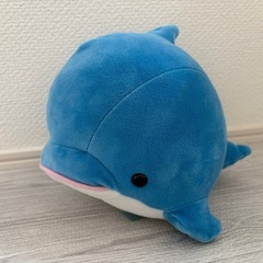 八景島シーパラダイス　イルカ