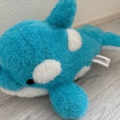 鴨川シーワールド　イルカ　ぬいぐるみ