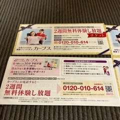 カーブス　フィットネス　利用券