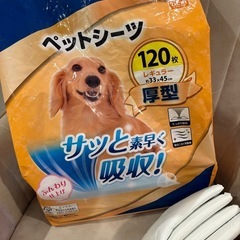 24枚　ﾍﾟｯﾄｼｰﾂ ﾚｷﾞｭﾗｰｻｲｽﾞ 厚型の画像