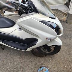 ヤマハ　マジェスティ　250  SG20J 4D9 エンジン快調　スマートキー　の画像