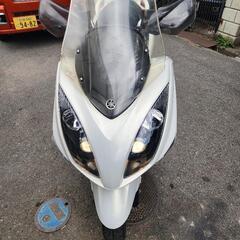 ヤマハ　マジェスティ　250  SG20J 4D9 エンジン快調　スマートキー　の画像