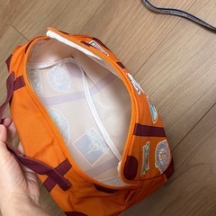 ディズニー Vacation Packages その他セットの画像