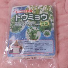 豆苗栽培セット
