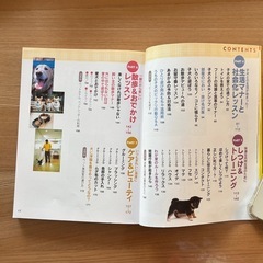 【美品】室内犬 飼い方 しつけ方 本の画像