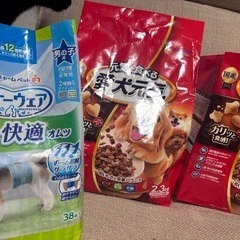 ドッグフード 紙おむつ