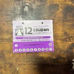 サンタプレゼントパークリフト券 700円