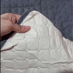 ペット用ソファーカバー75cm x 75cmの画像