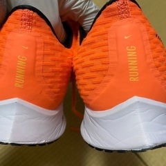 NIKE zoomランキングシューズの画像