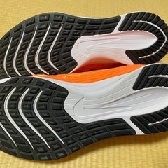 NIKE zoomランキングシューズの画像