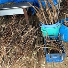 薪あげます！の画像