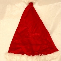 1回着用 サンタガール 2点セット サンタコス クリスマス サンタクロース コスプレの画像