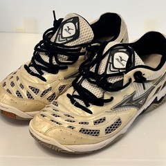 格安　バレーボールシューズ　WAVE SPIKEIO MIZUN...