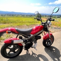 スズキ　ストリートマジック ＴＲ－５０　の画像