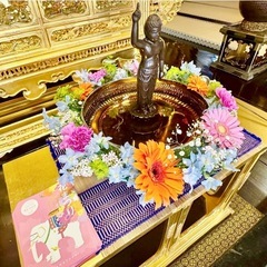 4/13 東京お寺ヨガ&花まつり【Yoga & Mindfuln...