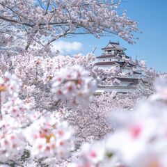 一緒に写真撮りに行きましょう