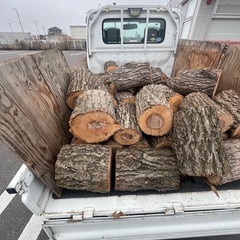 薪材　40cmくらいの画像