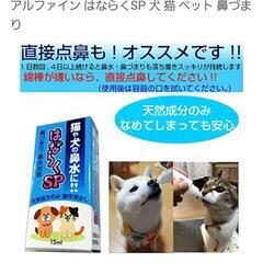 犬猫用はならくSP点鼻薬の画像