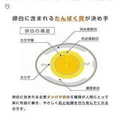 犬猫用はならくSP点鼻薬の画像