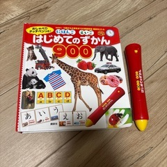 はじめてのずかん900