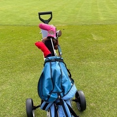 ゴルフ手引きカートの画像