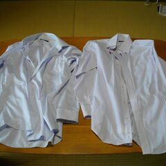 カッターシャツ色々の画像