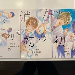 消えた初恋　漫画