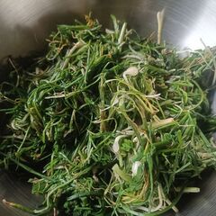 野蒜のごま味噌和え - 中央区