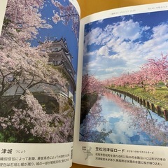 三重のええとこ写真集の画像