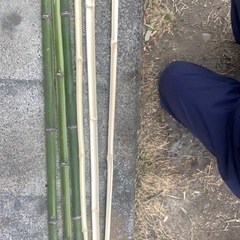 竹ひごの画像