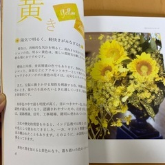 仕事に役立つパーソナルカラー入門の画像