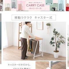 【美品】スラックスハンガー 白の画像
